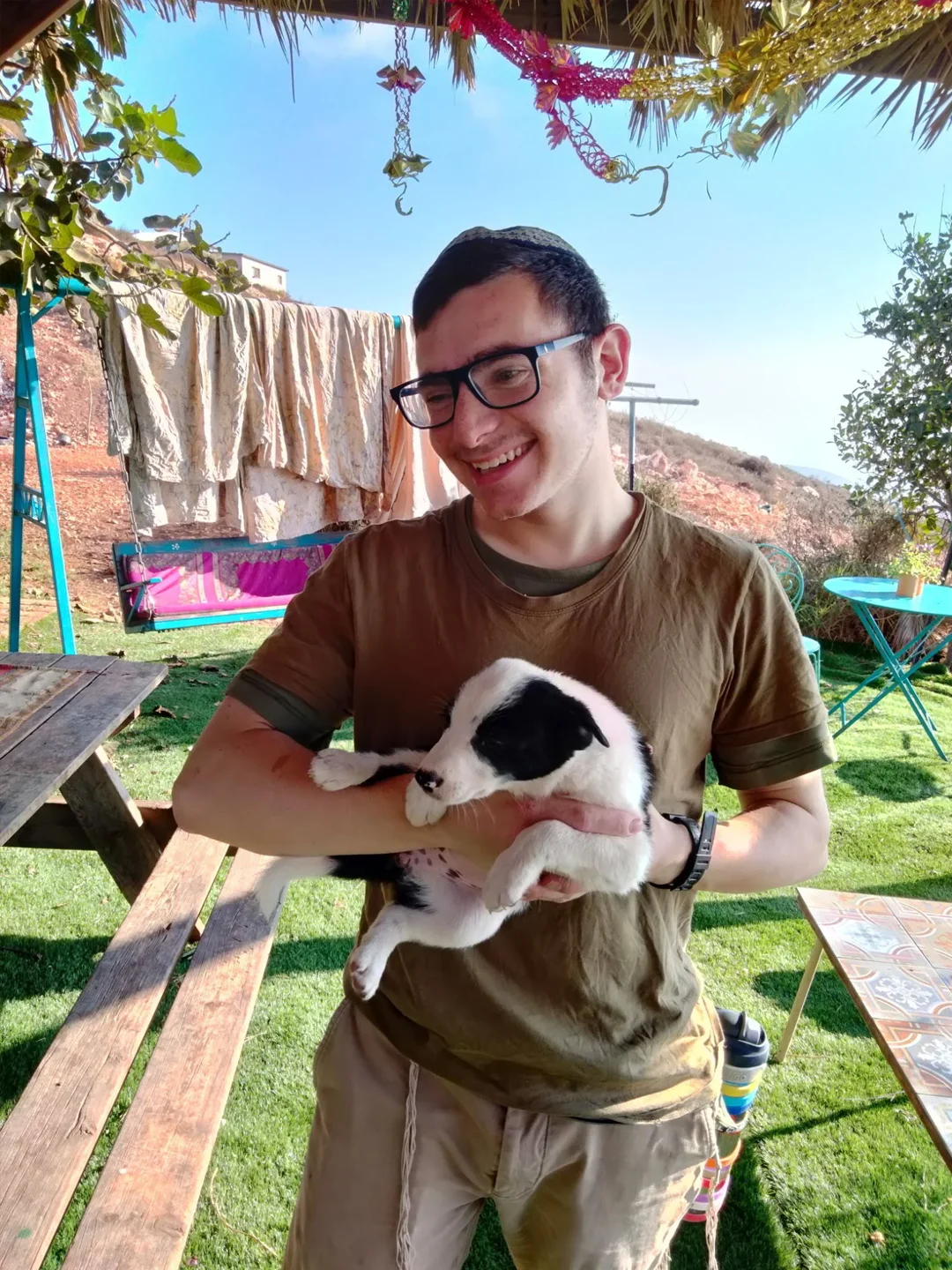 halom cradles a sheep dog that was being groomed to round up the herd he was overseeing in Israel.